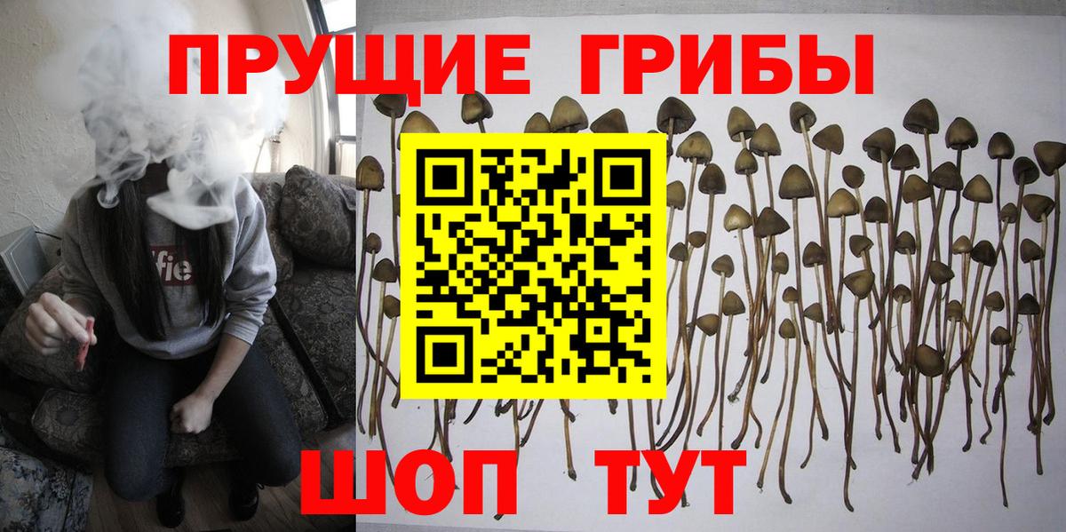 где купить наркоту  Псилоцибиновые грибы ЛСД  Вход с VPN  Москва 